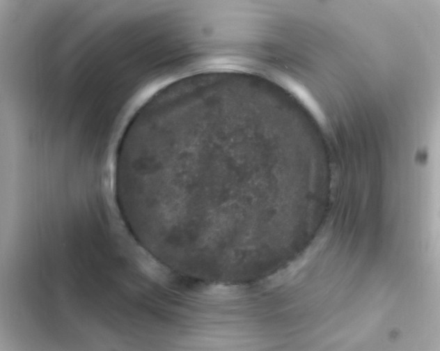 X0000103321419200809192129