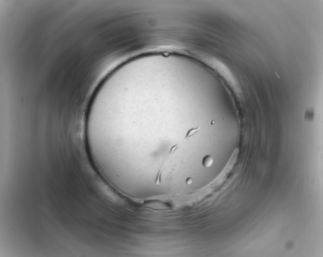 X0000103321420200809192129