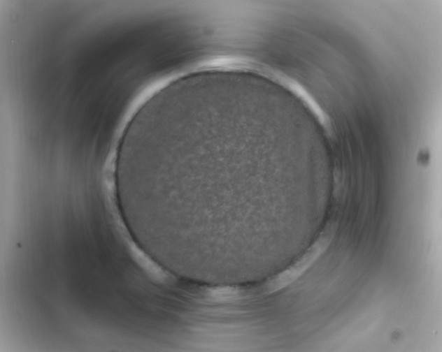 X0000103321421200809192129