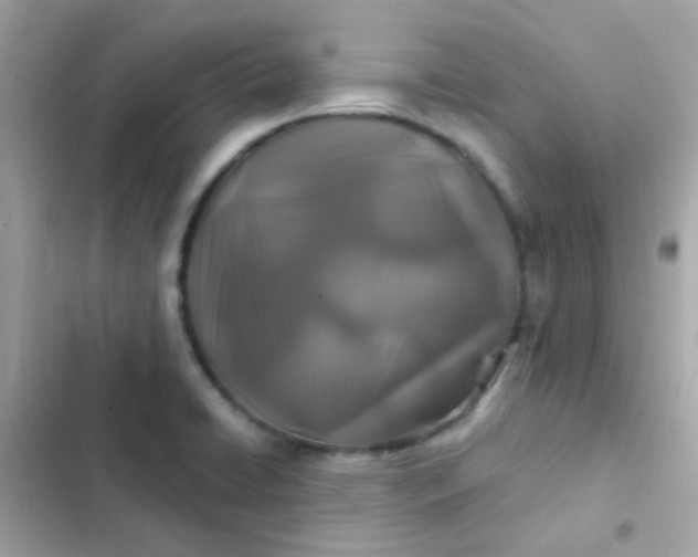 X0000103321422200809192129