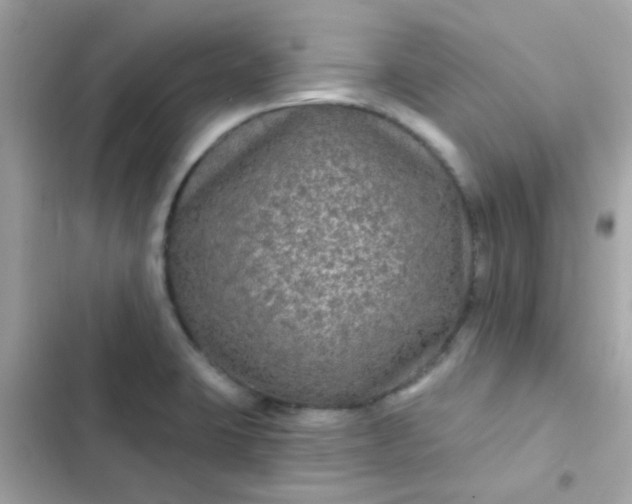 X0000103321423200809192129