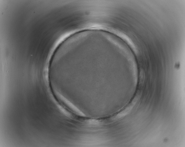 X0000103321424200809192129