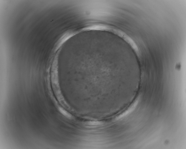 X0000103321425200809192129