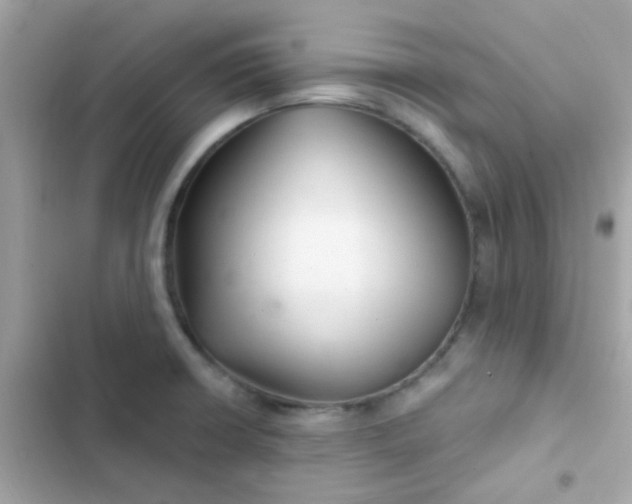 X0000103321426200809192129