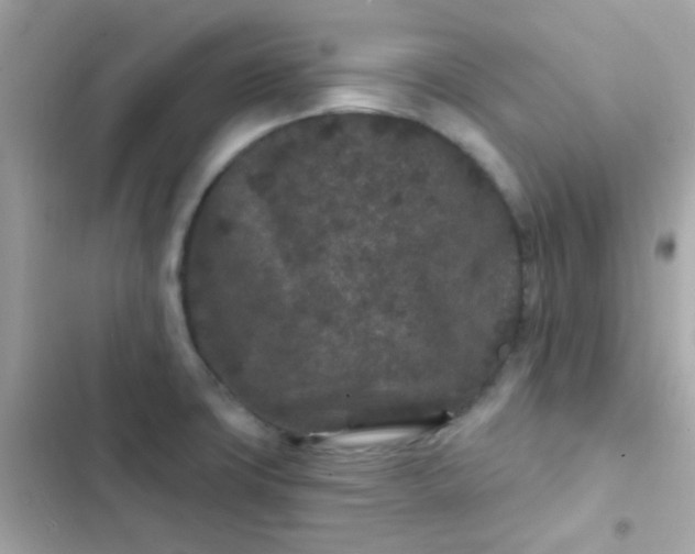 X0000103321427200809192129