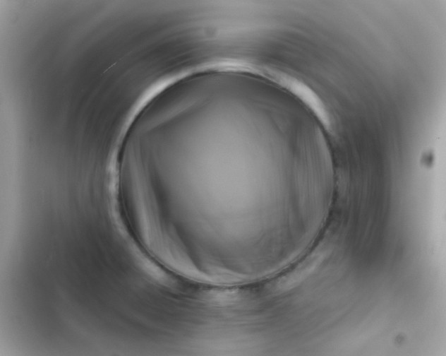 X0000103321428200809192129