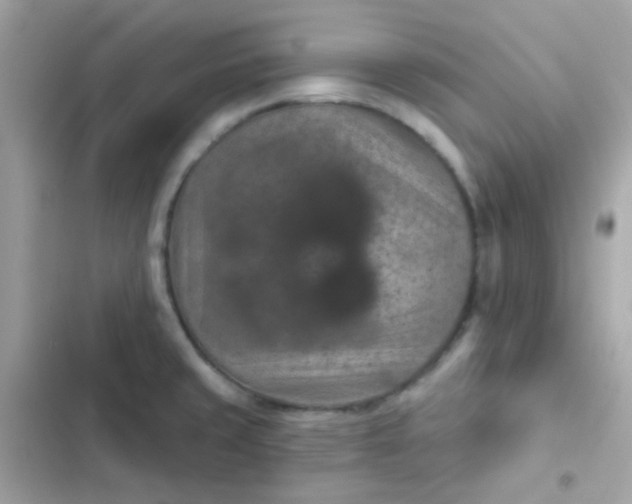 X0000103321429200809192129