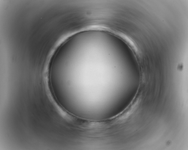 X0000103321430200809192129