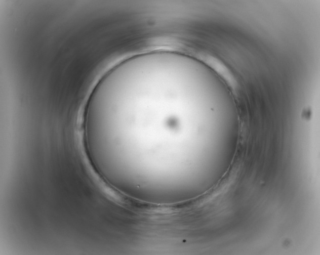 X0000103321431200809192129