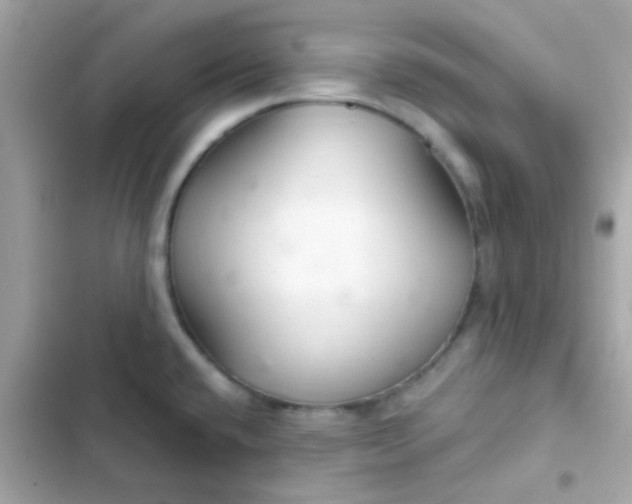 X0000103321432200809192129