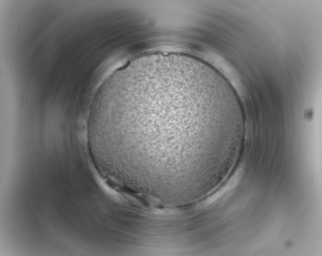 X0000103321433200809192129