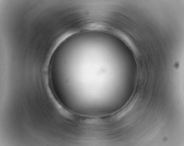 X0000103321434200809192129