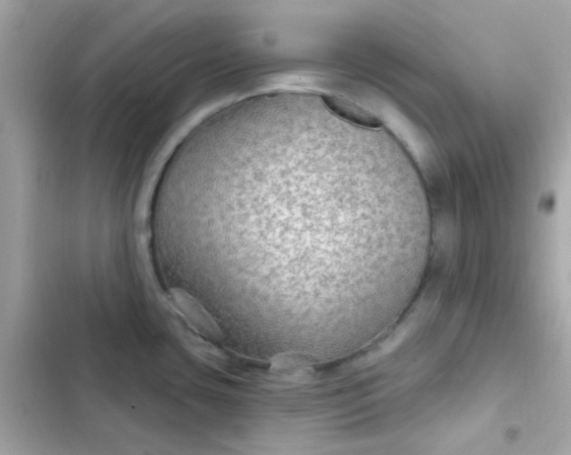 X0000103321435200809192129