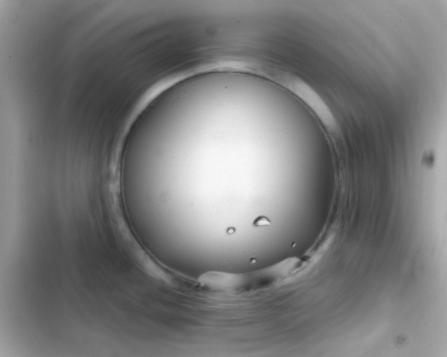 X0000103321436200809192129