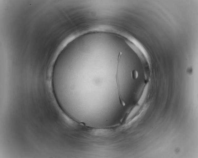 X0000103321437200809192129