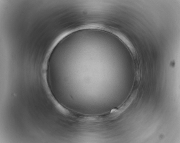 X0000103321438200809192129