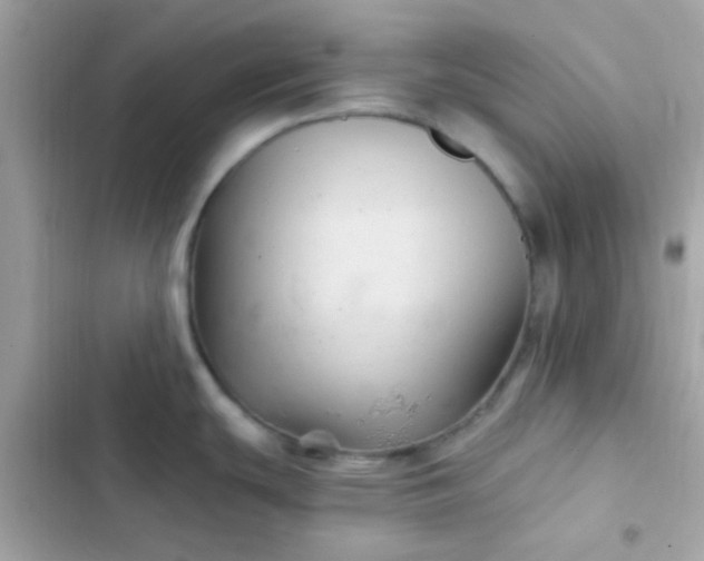 X0000103321439200809192129