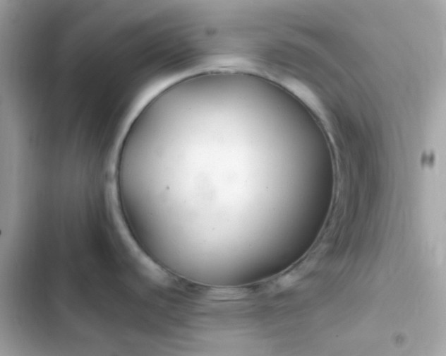 X0000103321440200809192129