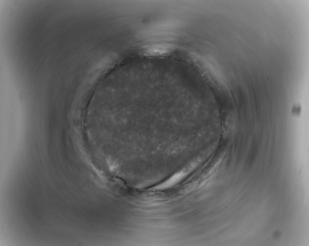 X0000103321441200809192129