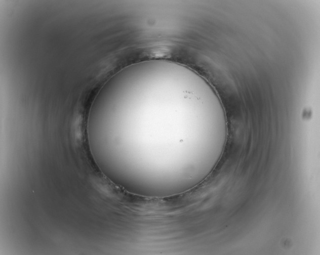 X0000103321442200809192129