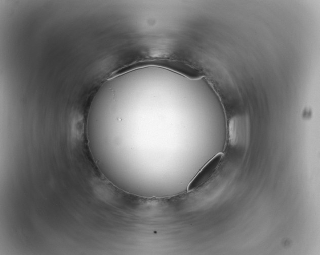 X0000103321443200809192129