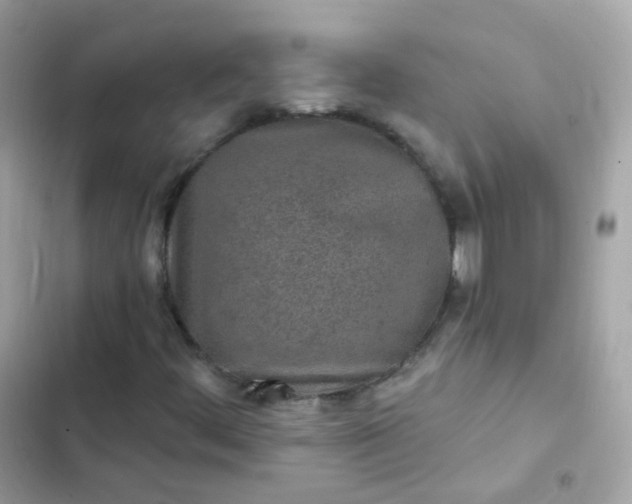 X0000103321444200809192129