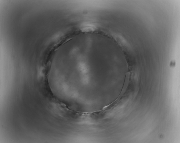 X0000103321445200809192129