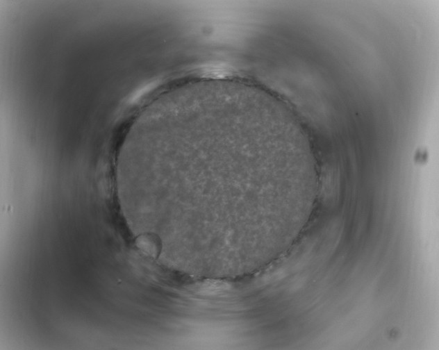 X0000103321446200809192128