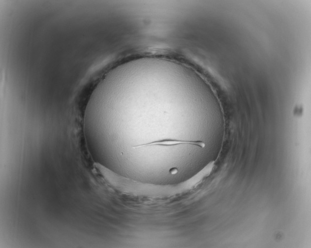 X0000103321447200809192128