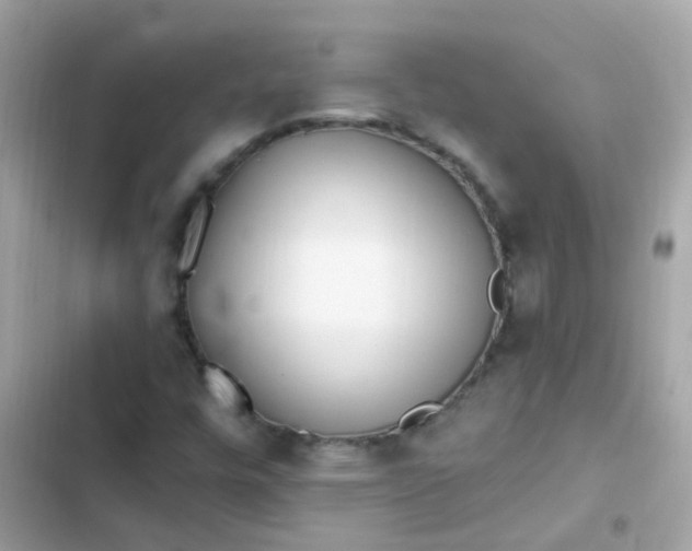 X0000103321448200809192128