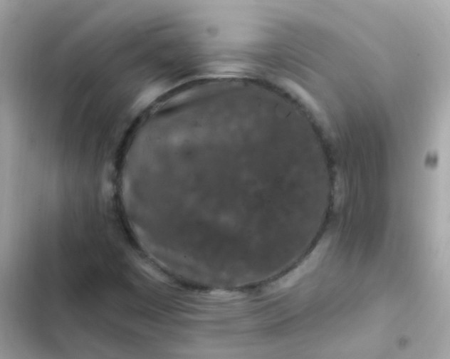 X0000103321449200809192128