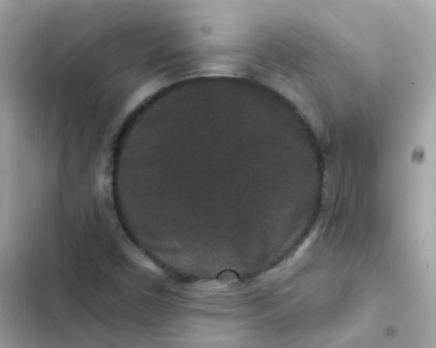 X0000103321450200809192128