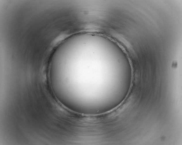 X0000103321451200809192128