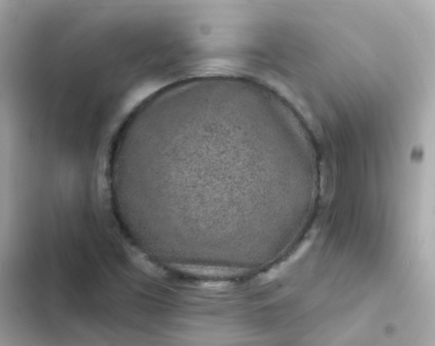 X0000103321453200809192128