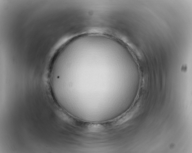 X0000103321454200809192128