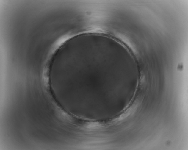 X0000103321455200809192128