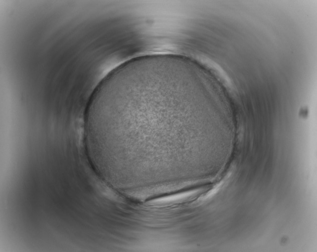 X0000103321457200809192128