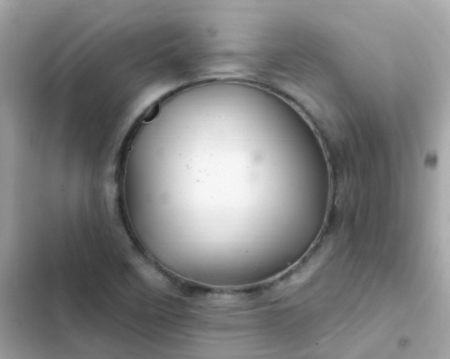 X0000103321458200809192128