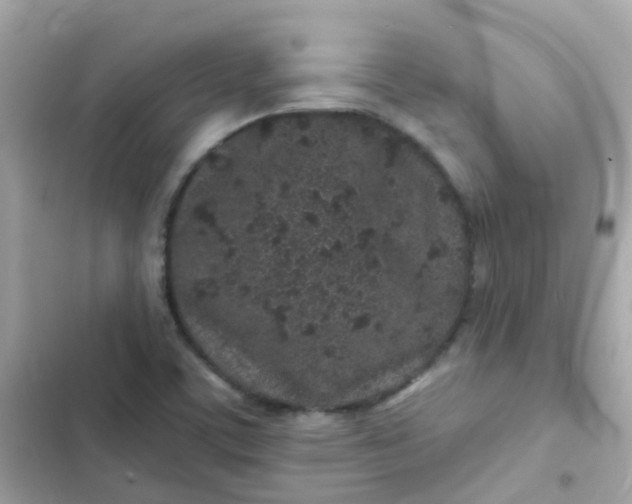 X0000103321459200809192128