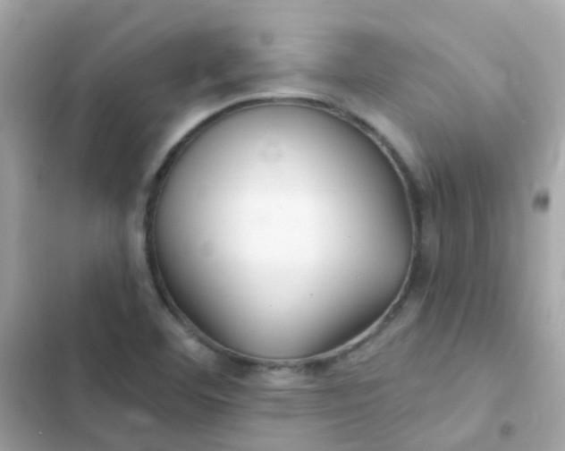 X0000103321460200809192128