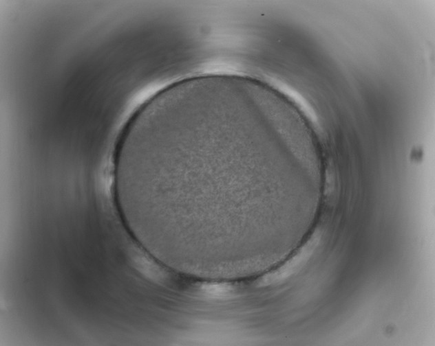 X0000103321461200809192128