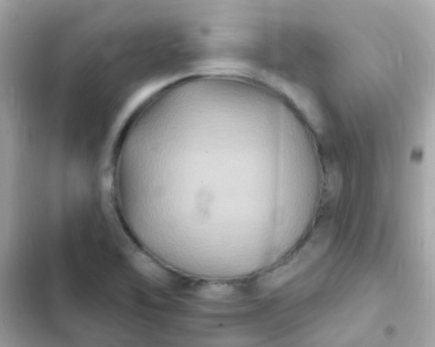 X0000103321462200809192128