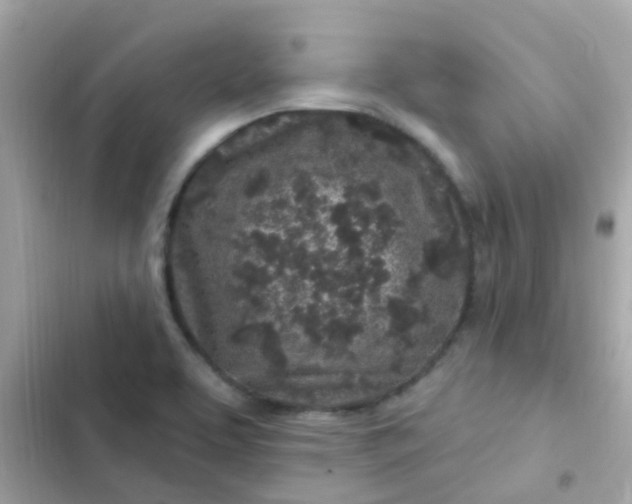 X0000103321463200809192128