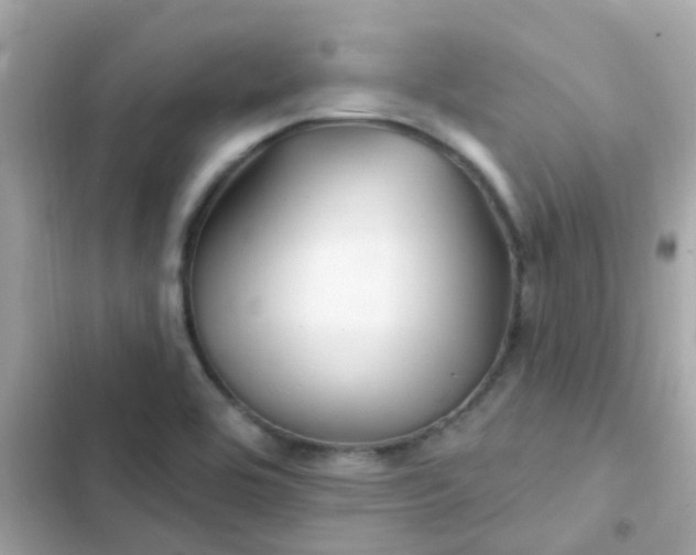 X0000103321464200809192128