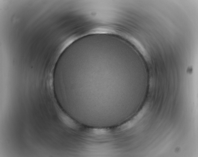 X0000103321465200809192128