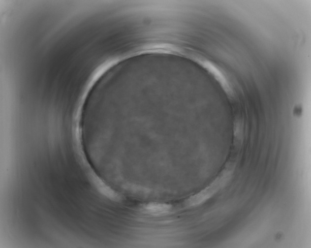 X0000103321466200809192128