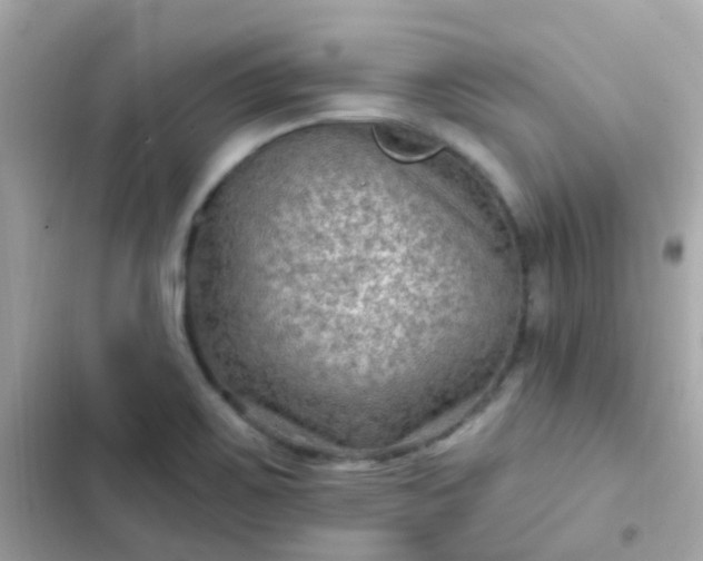 X0000103321467200809192128