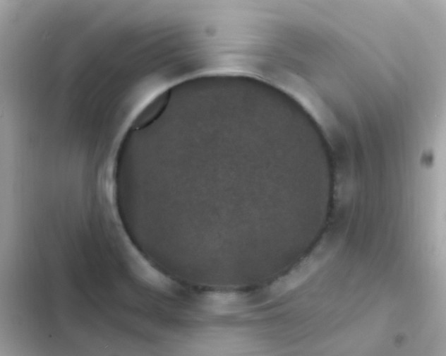 X0000103321468200809192128