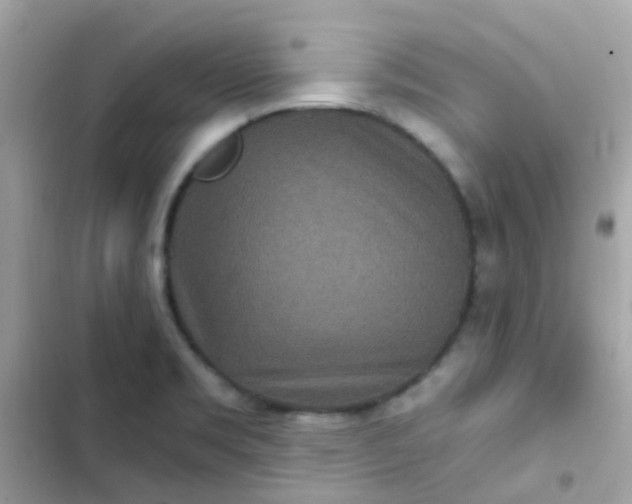 X0000103321469200809192128