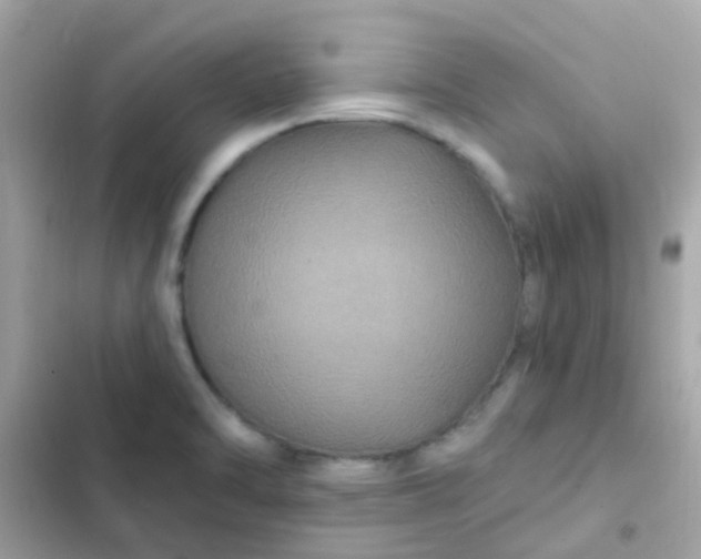 X0000103321470200809192128